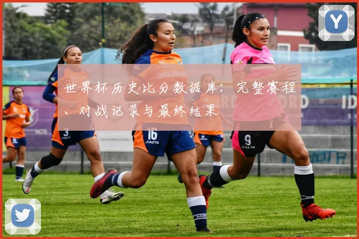 世界杯历史比分数据库:完整赛程、对战记录与最终结果