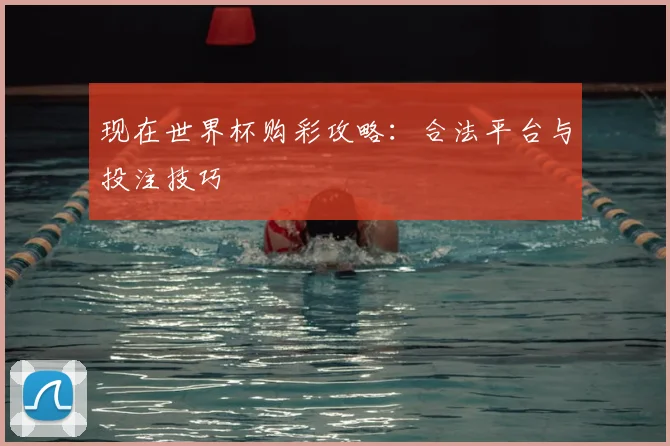 现在世界杯购彩攻略:合法平台与投注技巧