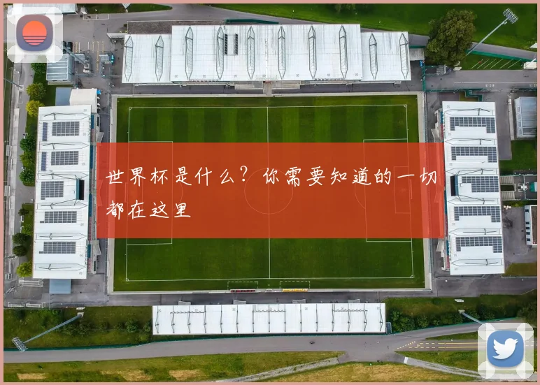 世界杯是什么?你需要知道的一切都在这里