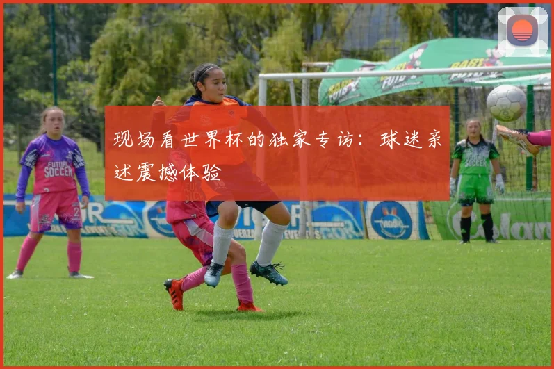 现场看世界杯的独家专访:球迷亲述震撼体验