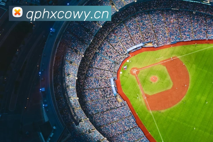 九游j9官方平台生态图