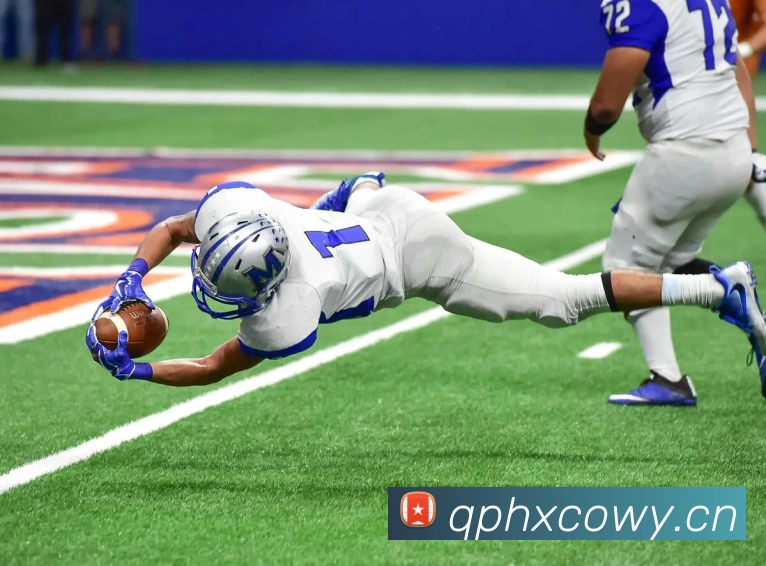 九游j9官方APP 封面图